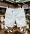 Ảnh Quần kaki Ngắn Q4.SH41 - Q2