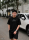 Ảnh Áo fom rộng A5.0823 _ A23