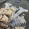 Ảnh Áo Thun A6.6668 _ A19